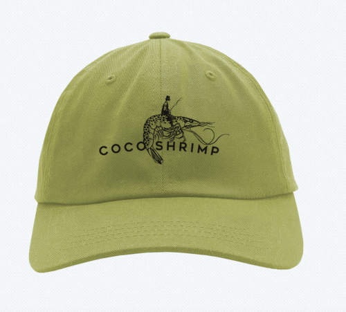 Embroidered Hat