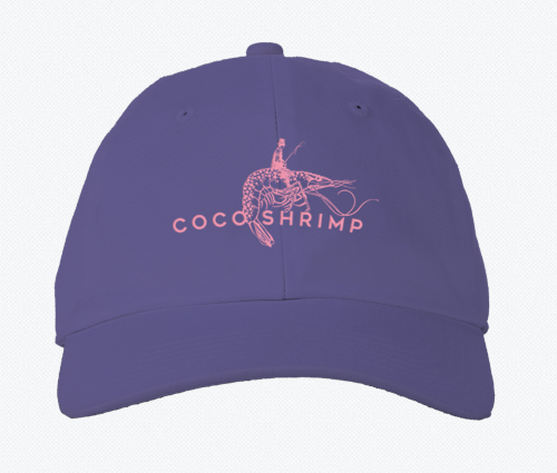 Embroidered Hat