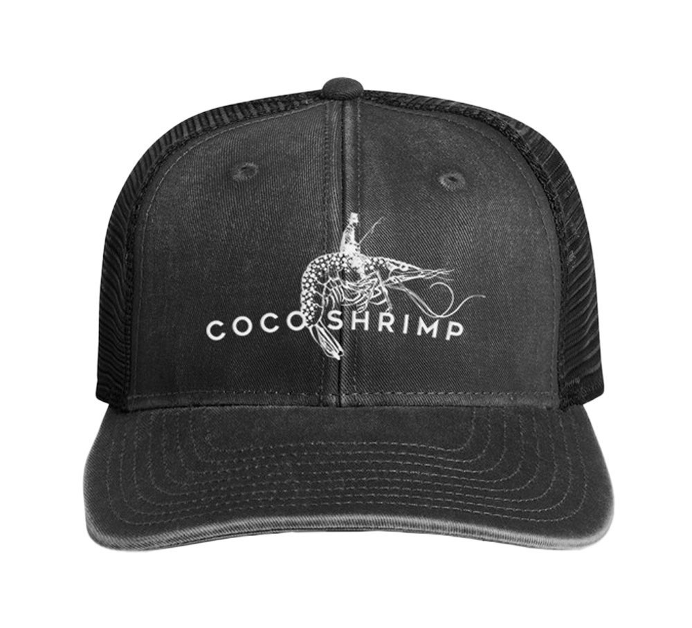 Embroidered Faded Trucker Hat