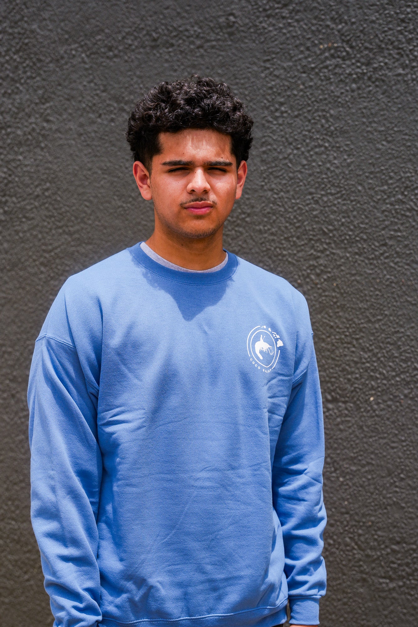 Holiday Crewneck 2024
