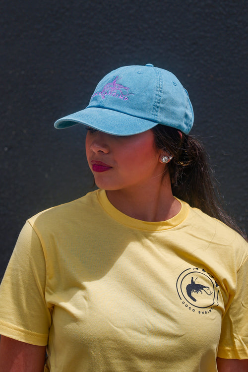 Embroidered Hat
